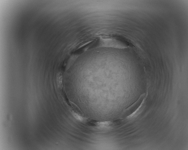 X0000063510192200602032053