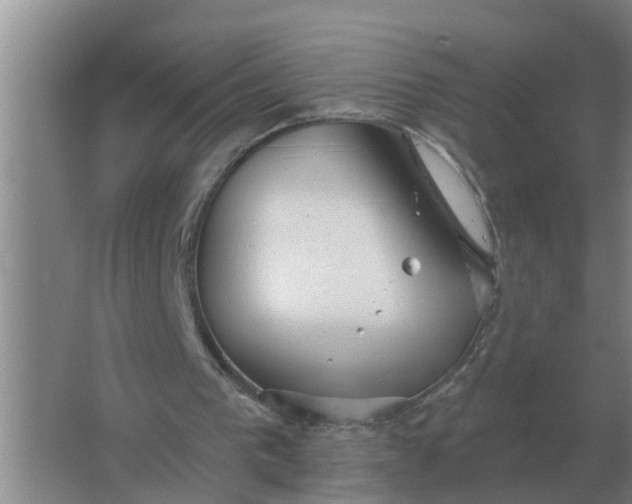 X0000063510193200602032052