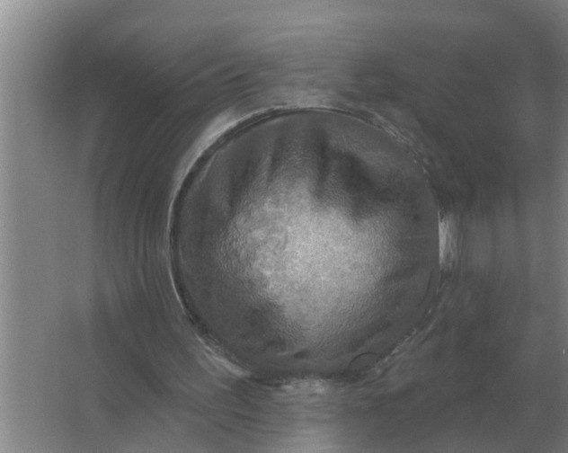 X0000063510195200602032052