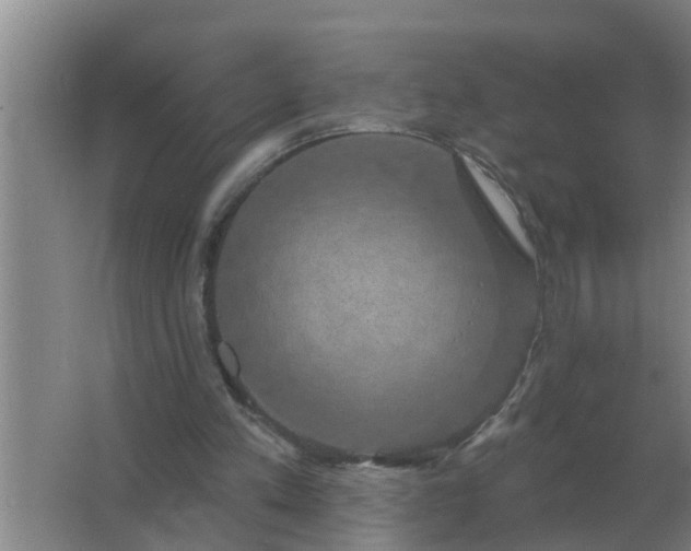 X0000063510197200602032052