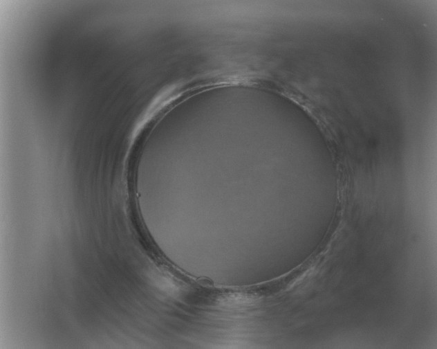 X0000063510198200602032052