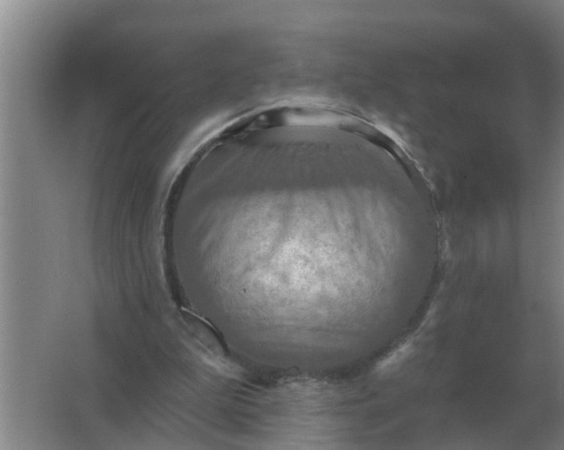 X0000063510199200602032052