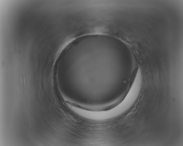 X0000063510200200602032052