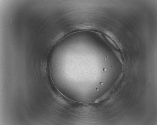 X0000063510201200602032052