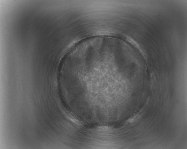 X0000063510203200602032052