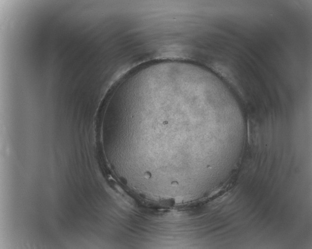 X0000063510204200602032052