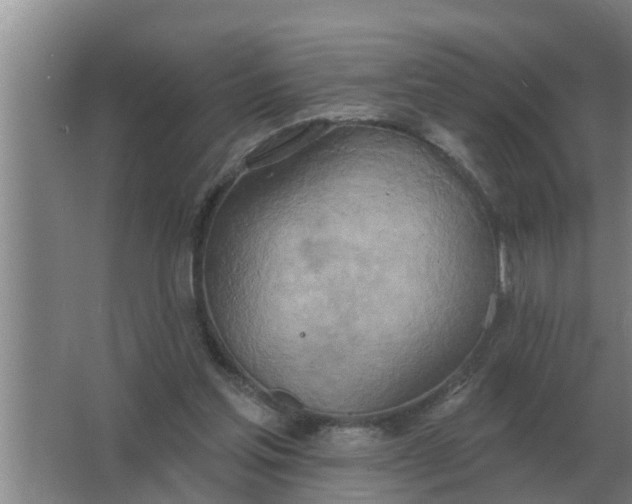 X0000063510205200602032052