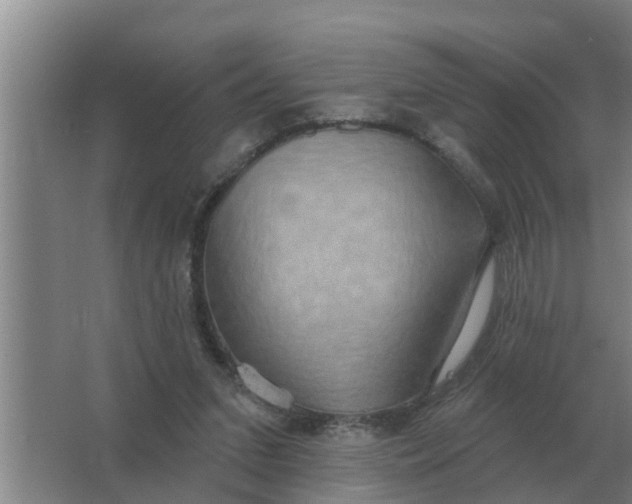 X0000063510207200602032052