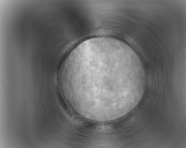 X0000063510208200602032052