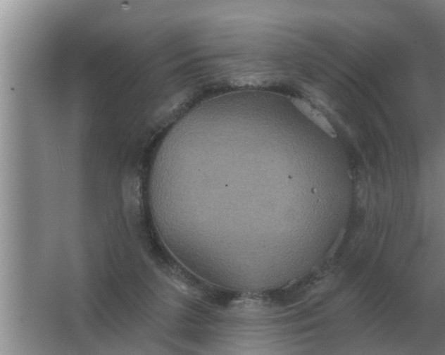 X0000063510211200602032052