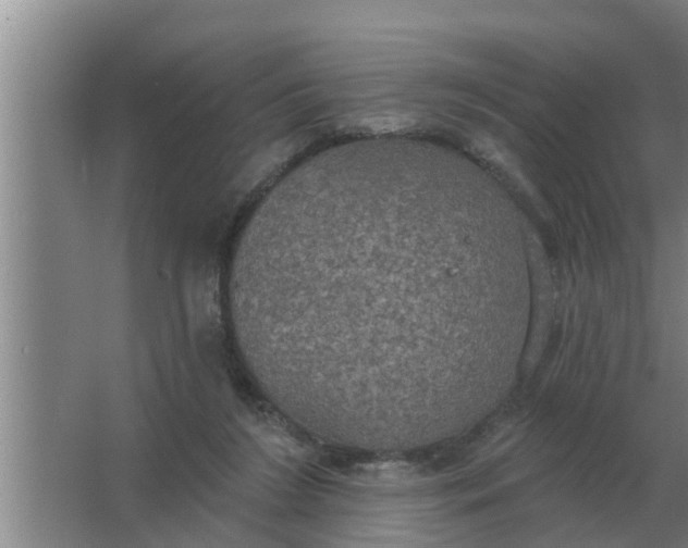 X0000063510212200602032052