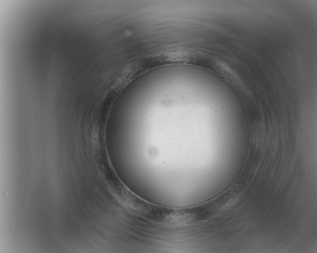 X0000063510213200602032052