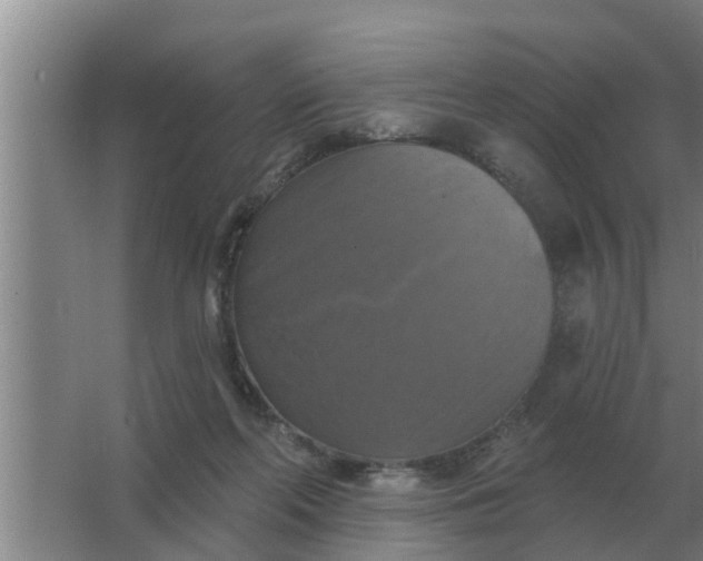 X0000063510214200602032052