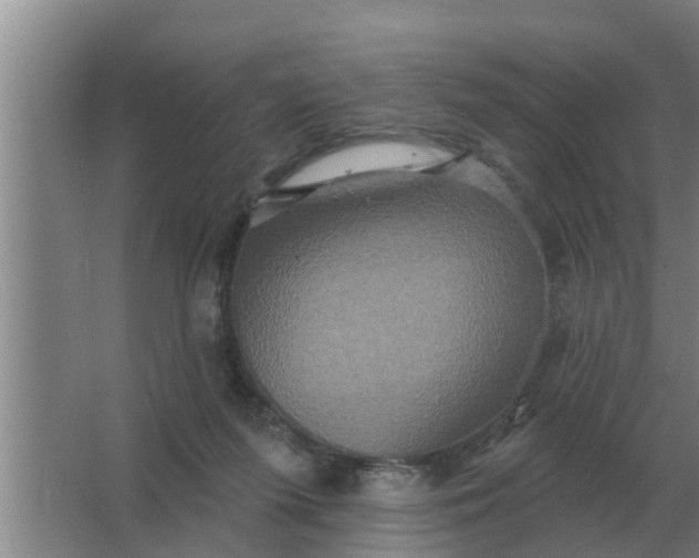 X0000063510215200602032052