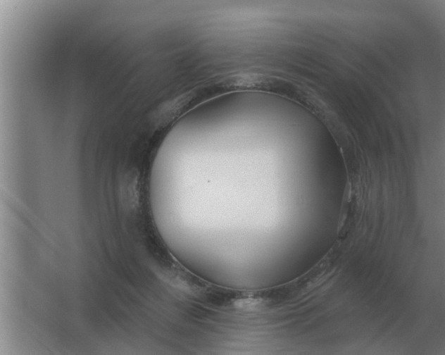 X0000063510216200602032052