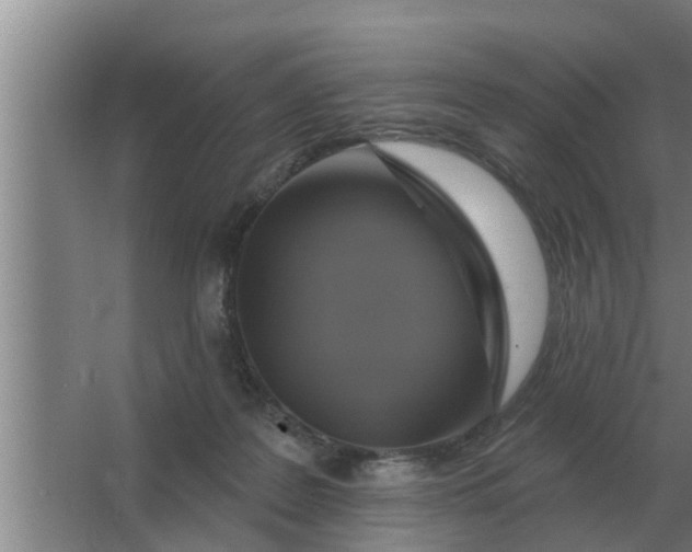 X0000063510219200602032052