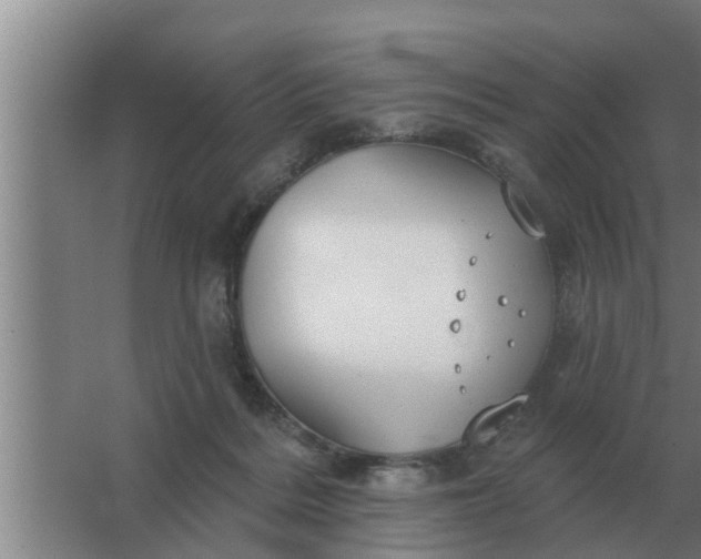 X0000063510220200602032052