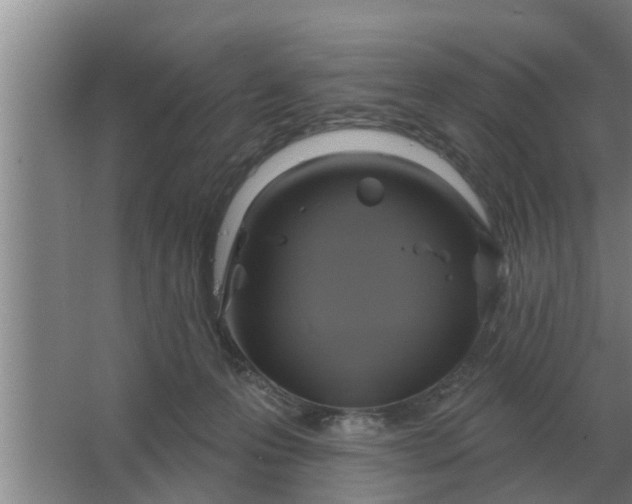 X0000063510223200602032052