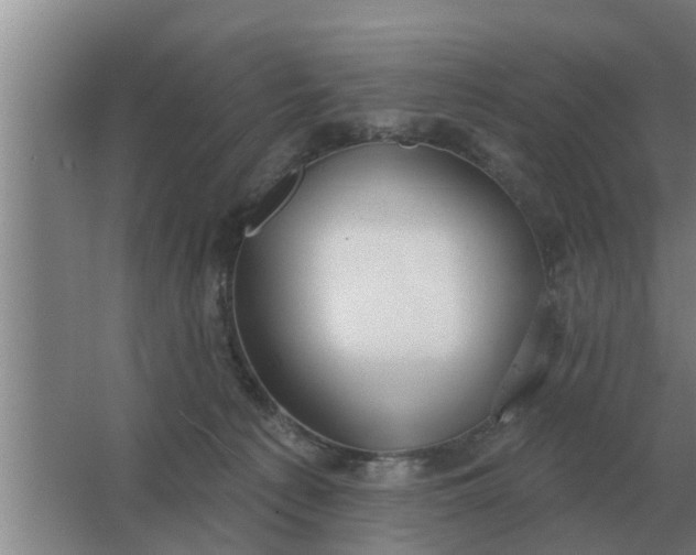 X0000063510225200602032052