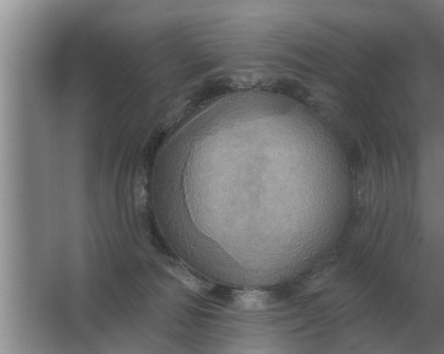 X0000063510226200602032051