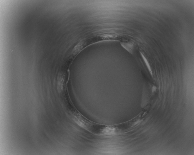 X0000063510227200602032051