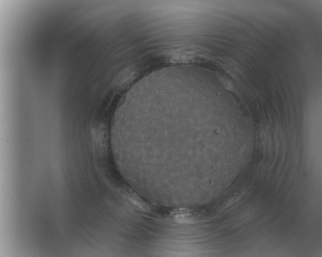 X0000063510228200602032051