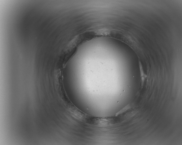 X0000063510229200602032051