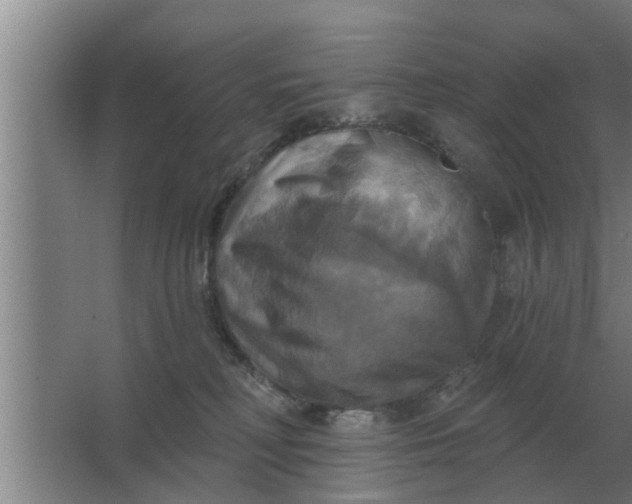 X0000063510230200602032051