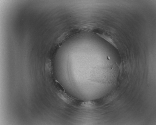 X0000063510231200602032051