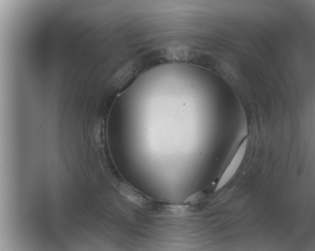 X0000063510233200602032051