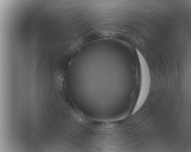 X0000063510235200602032051