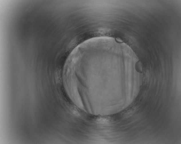 X0000063510236200602032051