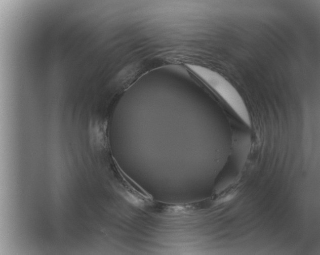 X0000063510239200602032051