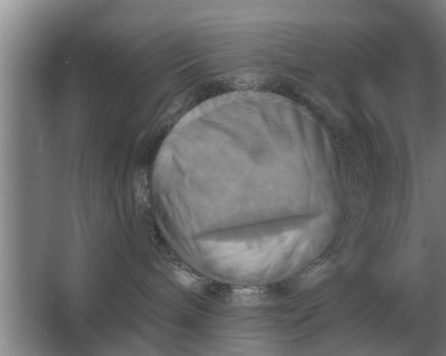 X0000063510240200602032051