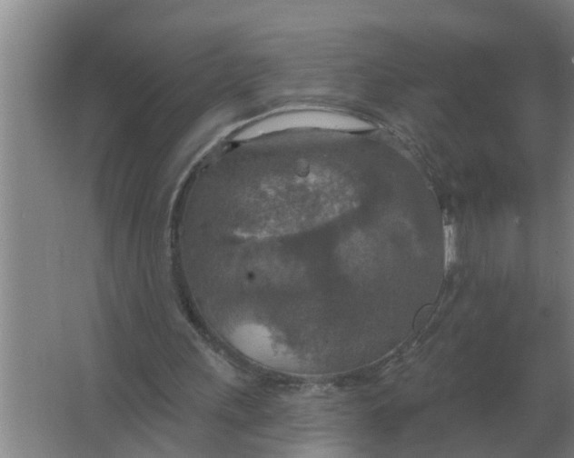 X0000063510243200602032050