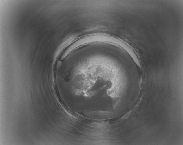 X0000063510245200602032051