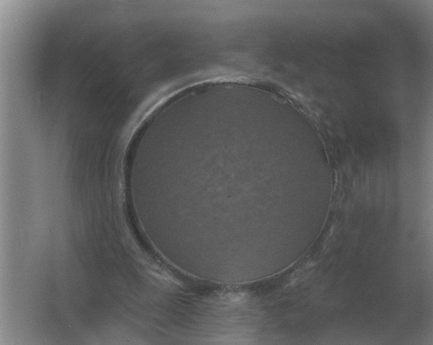 X0000063510247200602032051