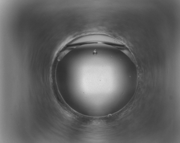 X0000063510248200602032051