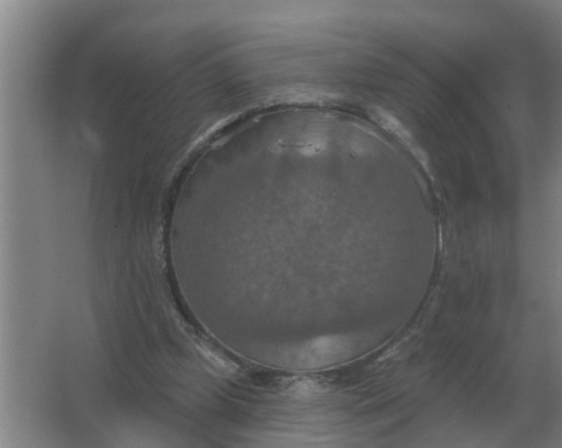 X0000063510249200602032051