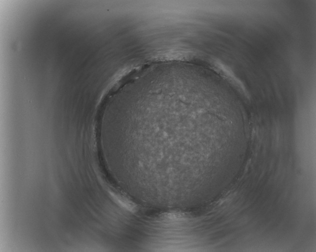 X0000063510250200602032051