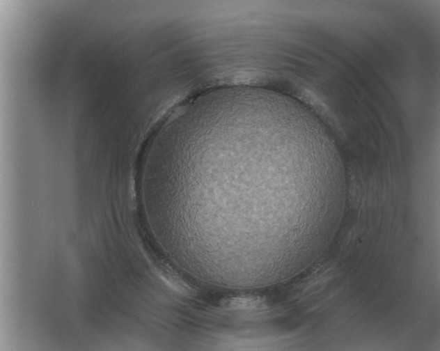 X0000063510251200602032051