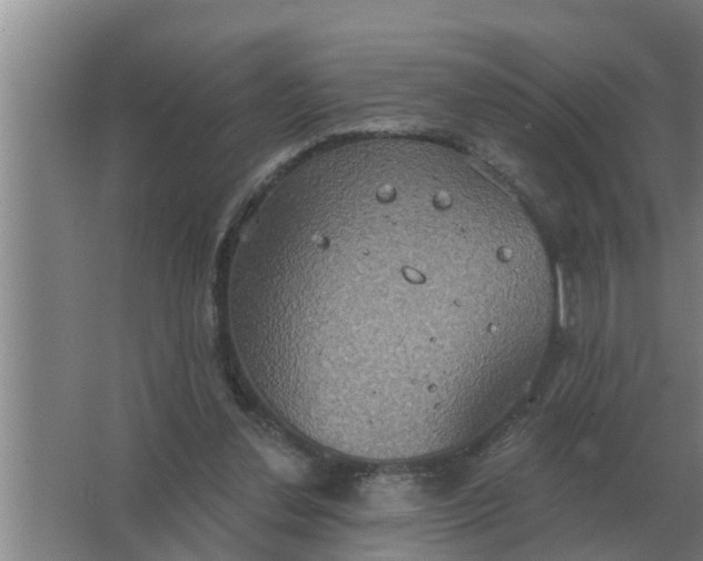 X0000063510252200602032051