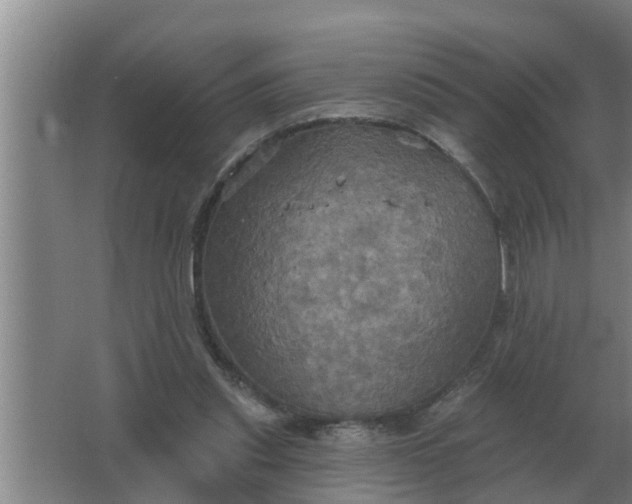 X0000063510253200602032051