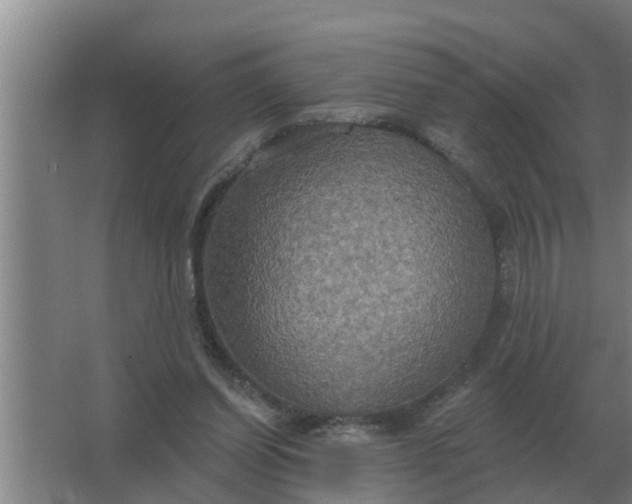 X0000063510254200602032051