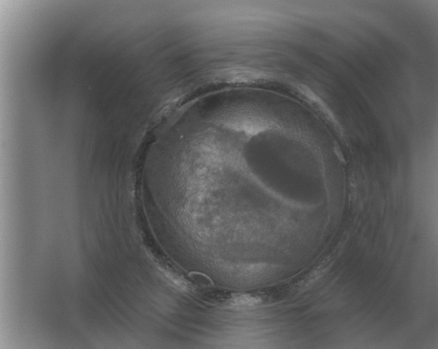 X0000063510257200602032051