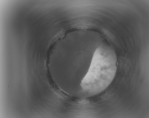 X0000063510258200602032051