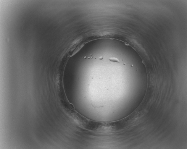 X0000063510260200602032051