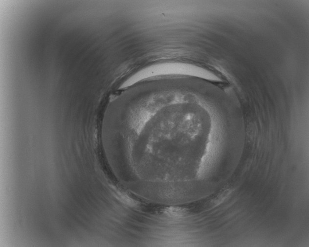 X0000063510261200602032051