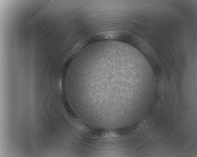 X0000063510262200602032051