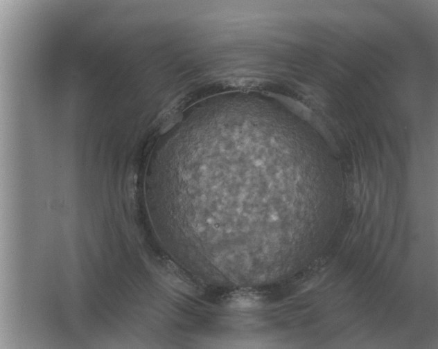 X0000063510263200602032051